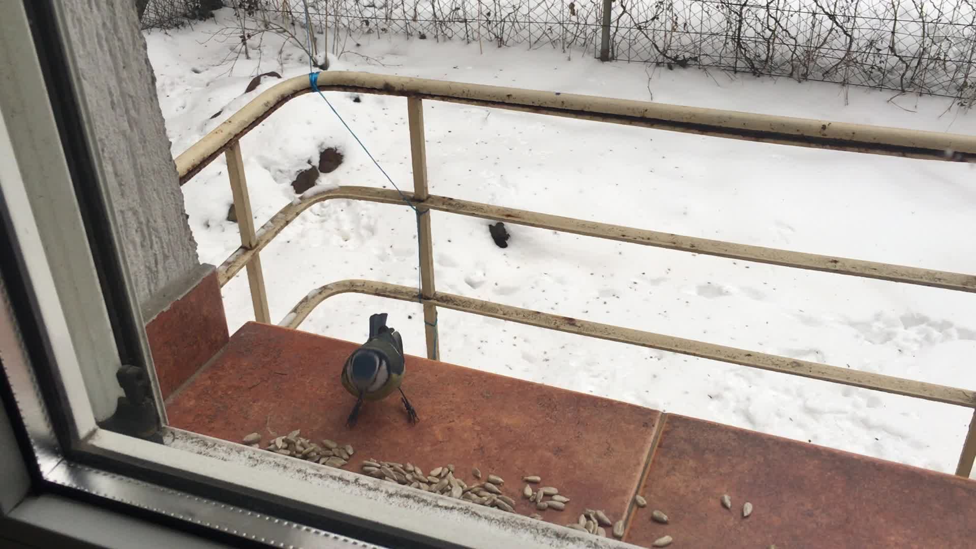 test landscape image